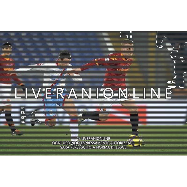 Roma - 26/01/2010 - Stadio Olimpico - TIM CUP 2009/2010 - Quarti di Finale - AS Roma vs Catania - nella foto: Daniele DE ROSSI e Pablo Mertin LEDESMA ph. Corradetti / ©Aldo Liverani Sas