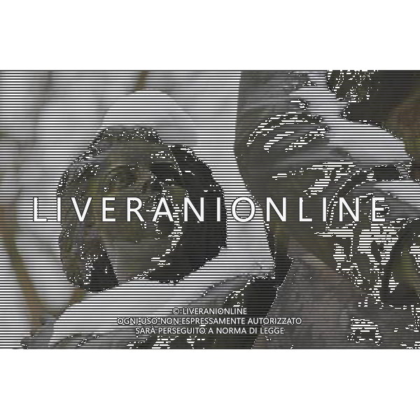 (100129) -- BERLIN, Jan. 29, 2010 () -- A statue is covered with snow at a park in Berlin, capital of Germany, Jan. 28, 2010. A storm front covered much of Germany with snow Wednesday night into Thursday, adding to what has been an unusually cold and snowy winter. (/Ban Wei) (yy) /Agenzia Aldo Liverani Sas - ITALY ONLY - LA CITTA\' DI BERLINO CAPITALE DELLA GERMANIA SOTTO LA NEVE