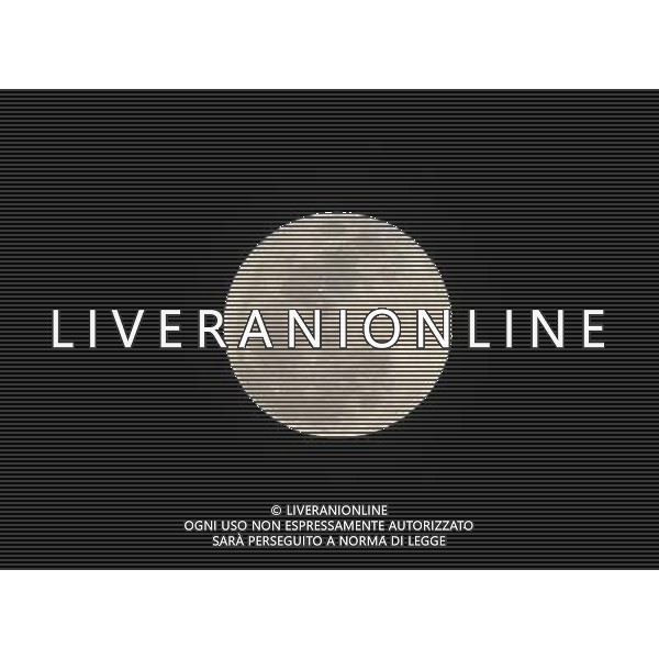 (100130) -- TAIYAUN, Jan. 30, 2010 (Xinhua) -- The moon is seen in Taiyuan, capital of north China\'s Shanxi Province, Jan. 30, 2010. The moon seen on Saturday is the biggest full moon of the year. In average, the biggest full moon repeats every 14 synodic months. (Xinhua/Yan Yan) (zl) /Agenzia Aldo Liverani Sas - ITALY ONLY - LA LUNA unico satellite naturale della Terra