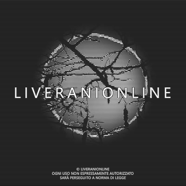 (100130) -- TAIYAUN, Jan. 30, 2010 (Xinhua) -- The moon is seen in Taiyuan, capital of north China\'s Shanxi Province, Jan. 30, 2010. The moon seen on Saturday is the biggest full moon of the year. In average, the biggest full moon repeats every 14 synodic months. (Xinhua/Zhan Yan) (zl) /Agenzia Aldo Liverani Sas - ITALY ONLY - LA LUNA unico satellite naturale della Terra