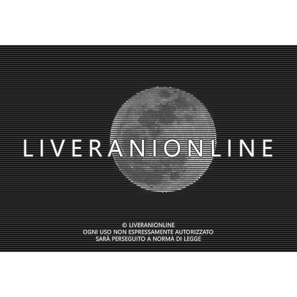 (100130) -- TAIYAUN, Jan. 30, 2010 (Xinhua) -- The moon is seen in Taiyuan, capital of north China\'s Shanxi Province, Jan. 30, 2010. The moon seen on Saturday is the biggest full moon of the year. In average, the biggest full moon repeats every 14 synodic months. (Xinhua/Zhan Yan) (zl) /Agenzia Aldo Liverani Sas - ITALY ONLY - LA LUNA unico satellite naturale della Terra