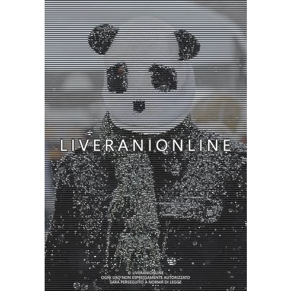 (100130) -- WASHINGTON, Jan. 30, 2010 -- A man wearing a panda head-shaped hat attends a farewell party for giant panda Tai Shan at the National Zoo in Washington D.C., the United States, Jan. 30, 2010. Hundreds of fans braved heavy snowfall Saturday to express goodbye to Tai Shan. Tai Shan, born at the Natiional Zoo in 2005, will be carried back to China by a U.S. FedEx cargo plane on Feb. 4. Zhang Jun) (gxr) /Agenzia Aldo Liverani Sas - ITALY ONLY - Tornera\' in Cina volando in prima classe Tai Shan, il panda gigante nato nel 2005 nello zoo di Washington