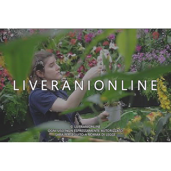Pic Shows: Workers at Kew Gardens, London, Preparing the new \'Tropical Extravaganza\', the fisrt festival in Biodiversity Year at Kew. The display contains over 7000 plants, including over 3000 orchids. /Agenzia Aldo Liverani Sas - ITALY ONLY - IL PRIMO FESTIVAL NELL\'ANNO DELLA BIODIVERSITA\' CON PIU\' DI 7000 PIANTE E FIORI TROPICALI E PIU\' DI 3000 ORCHIDEE AI KEW GARDENS A LONDRA