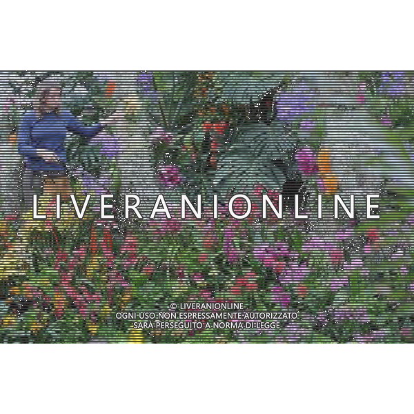 Pic Shows: Workers at Kew Gardens, London, Preparing the new \'Tropical Extravaganza\', the fisrt festival in Biodiversity Year at Kew. The display contains over 7000 plants, including over 3000 orchids. /Agenzia Aldo Liverani Sas - ITALY ONLY - IL PRIMO FESTIVAL NELL\'ANNO DELLA BIODIVERSITA\' CON PIU\' DI 7000 PIANTE E FIORI TROPICALI E PIU\' DI 3000 ORCHIDEE AI KEW GARDENS A LONDRA