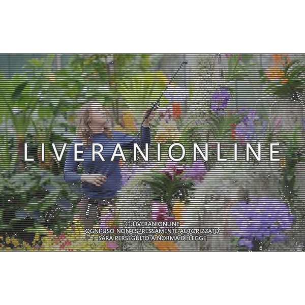 Pic Shows: Workers at Kew Gardens, London, Preparing the new \'Tropical Extravaganza\', the fisrt festival in Biodiversity Year at Kew. The display contains over 7000 plants, including over 3000 orchids. /Agenzia Aldo Liverani Sas - ITALY ONLY - IL PRIMO FESTIVAL NELL\'ANNO DELLA BIODIVERSITA\' CON PIU\' DI 7000 PIANTE E FIORI TROPICALI E PIU\' DI 3000 ORCHIDEE AI KEW GARDENS A LONDRA