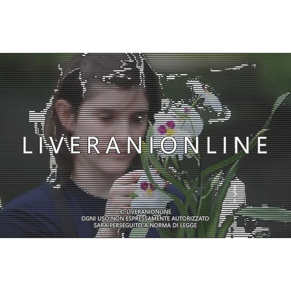 Pic Shows: Workers at Kew Gardens, London, Preparing the new \'Tropical Extravaganza\', the fisrt festival in Biodiversity Year at Kew. The display contains over 7000 plants, including over 3000 orchids. /Agenzia Aldo Liverani Sas - ITALY ONLY - IL PRIMO FESTIVAL NELL\'ANNO DELLA BIODIVERSITA\' CON PIU\' DI 7000 PIANTE E FIORI TROPICALI E PIU\' DI 3000 ORCHIDEE AI KEW GARDENS A LONDRA