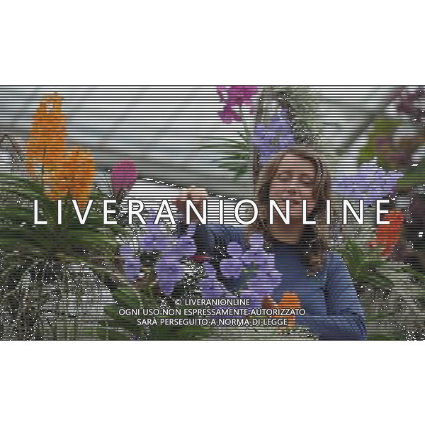 Pic Shows: Workers at Kew Gardens, London, Preparing the new \'Tropical Extravaganza\', the fisrt festival in Biodiversity Year at Kew. The display contains over 7000 plants, including over 3000 orchids. /Agenzia Aldo Liverani Sas - ITALY ONLY - IL PRIMO FESTIVAL NELL\'ANNO DELLA BIODIVERSITA\' CON PIU\' DI 7000 PIANTE E FIORI TROPICALI E PIU\' DI 3000 ORCHIDEE AI KEW GARDENS A LONDRA