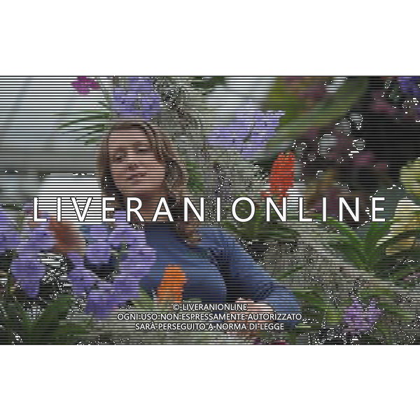 Pic Shows: Workers at Kew Gardens, London, Preparing the new \'Tropical Extravaganza\', the fisrt festival in Biodiversity Year at Kew. The display contains over 7000 plants, including over 3000 orchids. /Agenzia Aldo Liverani Sas - ITALY ONLY - IL PRIMO FESTIVAL NELL\'ANNO DELLA BIODIVERSITA\' CON PIU\' DI 7000 PIANTE E FIORI TROPICALI E PIU\' DI 3000 ORCHIDEE AI KEW GARDENS A LONDRA