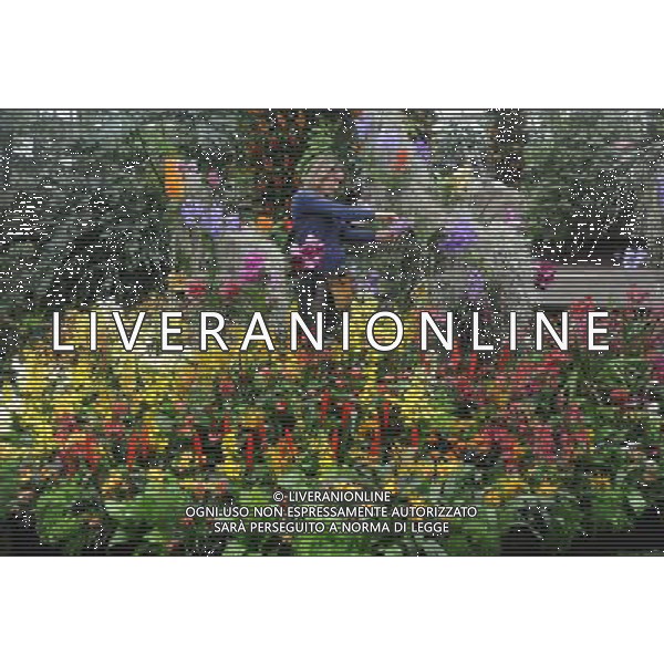 Pic Shows: Workers at Kew Gardens, London, Preparing the new \'Tropical Extravaganza\', the fisrt festival in Biodiversity Year at Kew. The display contains over 7000 plants, including over 3000 orchids. /Agenzia Aldo Liverani Sas - ITALY ONLY - IL PRIMO FESTIVAL NELL\'ANNO DELLA BIODIVERSITA\' CON PIU\' DI 7000 PIANTE E FIORI TROPICALI E PIU\' DI 3000 ORCHIDEE AI KEW GARDENS A LONDRA