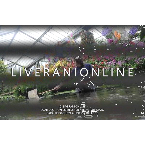 Pic Shows: Workers at Kew Gardens, London, Preparing the new \'Tropical Extravaganza\', the fisrt festival in Biodiversity Year at Kew. The display contains over 7000 plants, including over 3000 orchids. /Agenzia Aldo Liverani Sas - ITALY ONLY - IL PRIMO FESTIVAL NELL\'ANNO DELLA BIODIVERSITA\' CON PIU\' DI 7000 PIANTE E FIORI TROPICALI E PIU\' DI 3000 ORCHIDEE AI KEW GARDENS A LONDRA