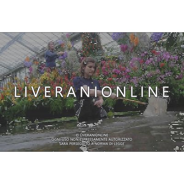 Pic Shows: Workers at Kew Gardens, London, Preparing the new \'Tropical Extravaganza\', the fisrt festival in Biodiversity Year at Kew. The display contains over 7000 plants, including over 3000 orchids. /Agenzia Aldo Liverani Sas - ITALY ONLY - IL PRIMO FESTIVAL NELL\'ANNO DELLA BIODIVERSITA\' CON PIU\' DI 7000 PIANTE E FIORI TROPICALI E PIU\' DI 3000 ORCHIDEE AI KEW GARDENS A LONDRA