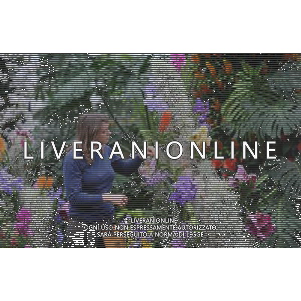 Pic Shows: Workers at Kew Gardens, London, Preparing the new \'Tropical Extravaganza\', the fisrt festival in Biodiversity Year at Kew. The display contains over 7000 plants, including over 3000 orchids. /Agenzia Aldo Liverani Sas - ITALY ONLY - IL PRIMO FESTIVAL NELL\'ANNO DELLA BIODIVERSITA\' CON PIU\' DI 7000 PIANTE E FIORI TROPICALI E PIU\' DI 3000 ORCHIDEE AI KEW GARDENS A LONDRA