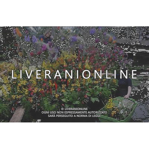 Pic Shows: Workers at Kew Gardens, London, Preparing the new \'Tropical Extravaganza\', the fisrt festival in Biodiversity Year at Kew. The display contains over 7000 plants, including over 3000 orchids. /Agenzia Aldo Liverani Sas - ITALY ONLY - IL PRIMO FESTIVAL NELL\'ANNO DELLA BIODIVERSITA\' CON PIU\' DI 7000 PIANTE E FIORI TROPICALI E PIU\' DI 3000 ORCHIDEE AI KEW GARDENS A LONDRA