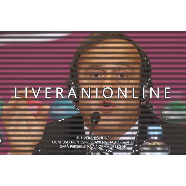 UEFA President Michel Platini speaks during press conference during a press conference in Warsaw, Poland, 6 February 2010 on the eve of the EURO 2012 qualifying draw. 51 teams taking part in the Euro 2012 qualifications will create nine groups. Six of them will consist of six teams, and three of them Ð five. Winners and one team from the second place with the best achievements will advance to championships directly. The other eight teams classified on the second position in the group will set up four pairs. The EURO 2012 European soccer championship will kick off June 2012 in Poland and Ukraine. The opening match at the National Stadium in Warsaw will take place on 8 June. Eliminations will begin in September 2010 and will last until autumn 2011. /Agenzia Aldo Liverani Sas - ITALY ONLY - VARSAVIA: SORTEGGI DI QUALIFICAZIONE AGLI EUROPEI DI CALCIO UCRAINA-POLONIA 2012