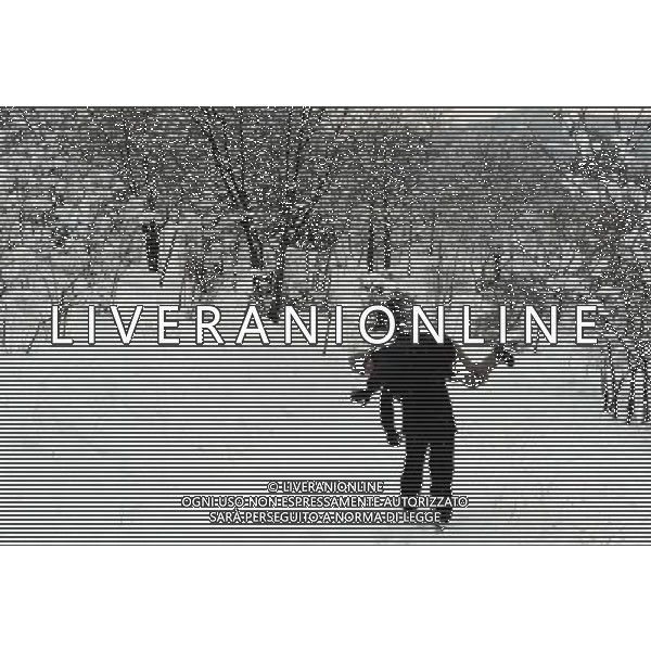 (100206) -- TBILISI, Feb. 6, 2010 () -- Visitors walk in the snow-covered botanic garden in Tbilisi, capital of Georgia, Feb. 6, 2010. Tbilisi was blanketed by this winter\'s first snowfall on Saturday, delayed due to the warm weather. The lowest temperature reached minus 9 degrees Celsius on Saturday.(/Liu Lihang) (zw) /Agenzia Aldo Liverani Sas - ITALY ONLY - NEVICATA - NEVE NELLA CITTA\' DI TBILISI IN GEORGIA