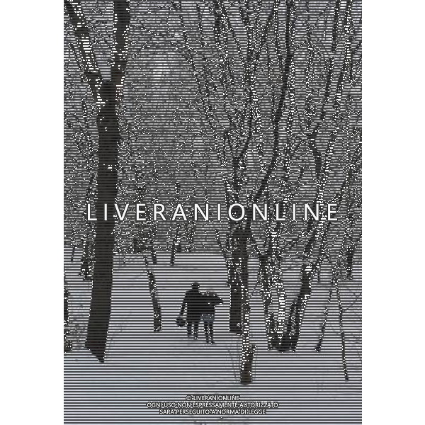 (100206) -- TBILISI, Feb. 6, 2010 () -- Visitors walk in the snow-covered botanic garden in Tbilisi, capital of Georgia, Feb. 6, 2010. Tbilisi was blanketed by this winter\'s first snowfall on Saturday, delayed due to the warm weather. The lowest temperature reached minus 9 degrees Celsius on Saturday.(/Liu Lihang) (zw) /Agenzia Aldo Liverani Sas - ITALY ONLY - NEVICATA - NEVE NELLA CITTA\' DI TBILISI IN GEORGIA