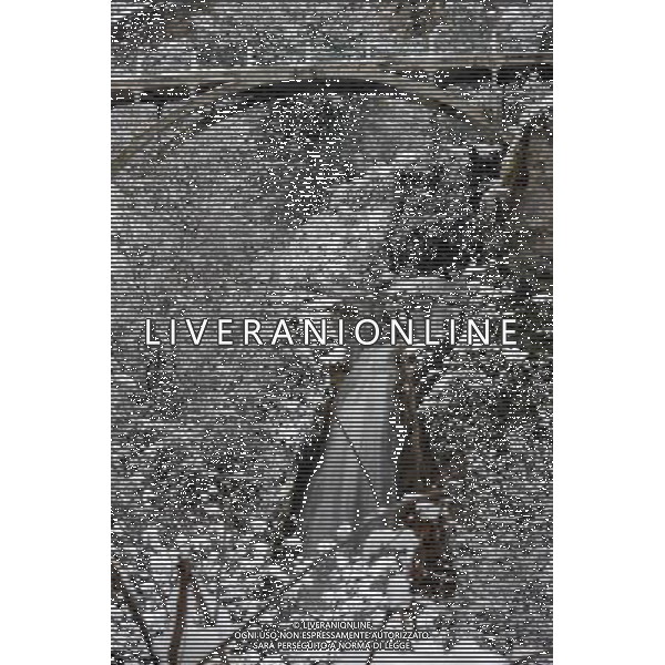 (100206) -- TBILISI, Feb. 6, 2010 () -- Photo taken on Feb. 6, 2010 shows the snowy scenery in a botanical garden in Tbilisi, capital of Georgia. Tbilisi was blanketed by this winter\'s first snowfall on Saturday, delayed due to the warm weather. The lowest temperature reached minus 9 degrees Celsius on Saturday.(/Liu Lihang) (zw) /Agenzia Aldo Liverani Sas - ITALY ONLY - NEVICATA - NEVE NELLA CITTA\' DI TBILISI IN GEORGIA