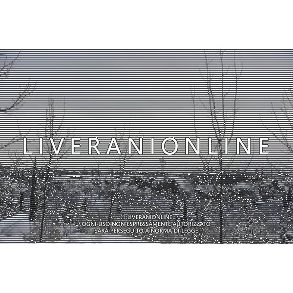 (100206) -- TBILISI, Feb. 6, 2010 () -- Photo taken on Feb. 6, 2010 shows the snowy scenery in Tbilisi, capital of Georgia. Tbilisi was blanketed by this winter\'s first snowfall on Saturday, delayed due to the warm weather. The lowest temperature reached minus 9 degrees Celsius on Saturday.(/Liu Lihang) (zw) /Agenzia Aldo Liverani Sas - ITALY ONLY - NEVICATA - NEVE NELLA CITTA\' DI TBILISI IN GEORGIA