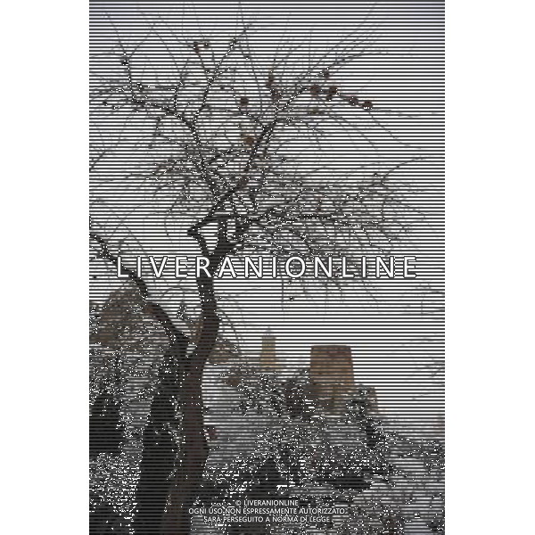 (100206) -- TBILISI, Feb. 6, 2010 () -- Photo taken on Feb. 6, 2010 shows the snowy scenery in the old town of Tbilisi, capital of Georgia. Tbilisi was blanketed by this winter\'s first snowfall on Saturday, delayed due to the warm weather. The lowest temperature reached minus 9 degrees Celsius on Saturday.(/Liu Lihang) (zw) /Agenzia Aldo Liverani Sas - ITALY ONLY - NEVICATA - NEVE NELLA CITTA\' DI TBILISI IN GEORGIA