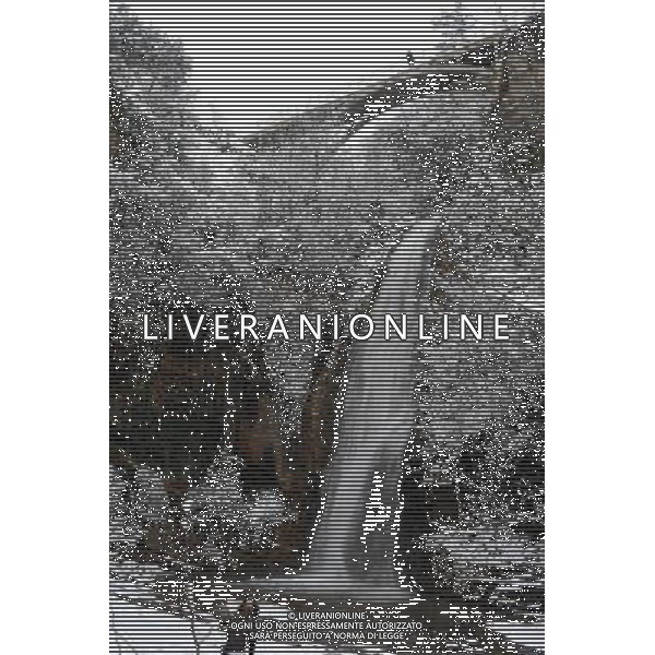 (100206) -- TBILISI, Feb. 6, 2010 () -- Visitors pose for photos in front of a waterfall in a botanical garden in Tbilisi, capital of Georgia, Feb. 6, 2010. Tbilisi was blanketed by this winter\'s first snowfall on Saturday, delayed due to the warm weather. The lowest temperature reached minus 9 degrees Celsius on Saturday.(/Liu Lihang) (zw) /Agenzia Aldo Liverani Sas - ITALY ONLY - NEVICATA - NEVE NELLA CITTA\' DI TBILISI IN GEORGIA