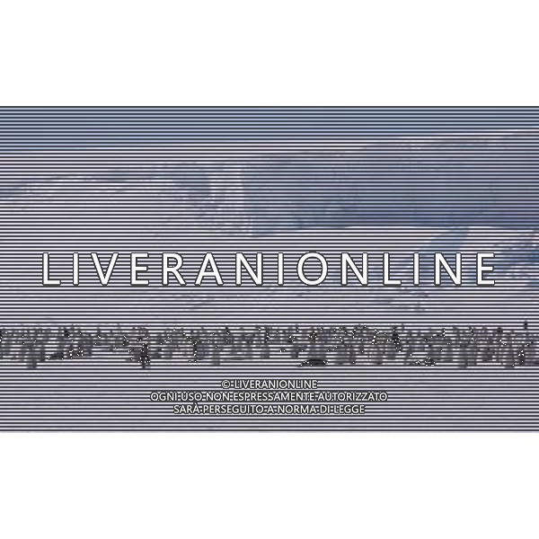 (100211) -- ANTARCTICA, Feb. 11, 2010 () -- Emperor penguins gather aroung China\'s Zhongshan Station in Antarctica in this file photo taken in Antarctica on Dec. 15, 2009. The emperor penguin is the tallest and heaviest of all living penguin species and is endemic to Antarctica. (/Cui Jing) (yy) /Agenzia Aldo Liverani Sas - ITALY ONLY - PINGUINI - PINGUINO IMPERATORE