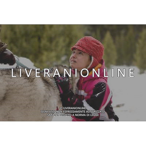 FILM\'Il richiamo della foresta \' NELLA FOTO Ariel Gade, Buck AG ALDO LIVERANI