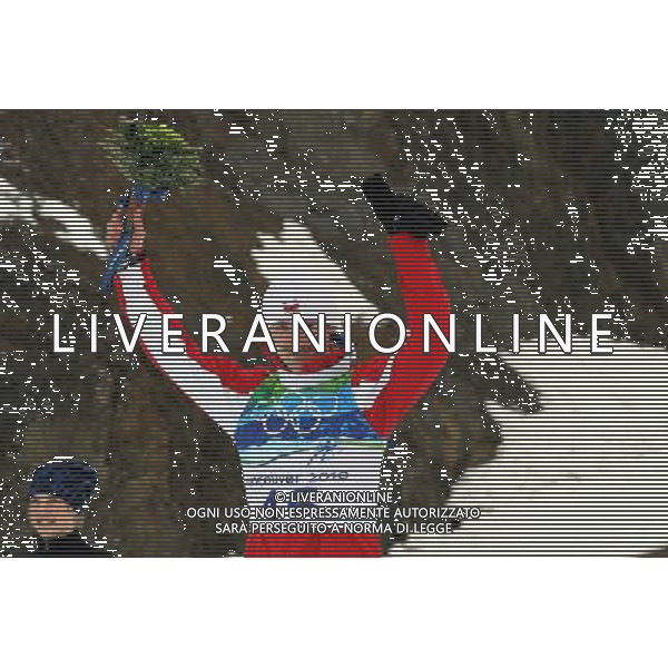 21mi GIOCHI OLIMPICI DI VANCOUVER ( CANADA) specialita\' ski jumping ( salto con gli sci) nella foto: ADAM MALYSZ ( Polonia) - medaglia argento © JERZY KLESZCZ / NEWSPIX.PL - Ag. Aldo Liverani sas ITALY ONLY 