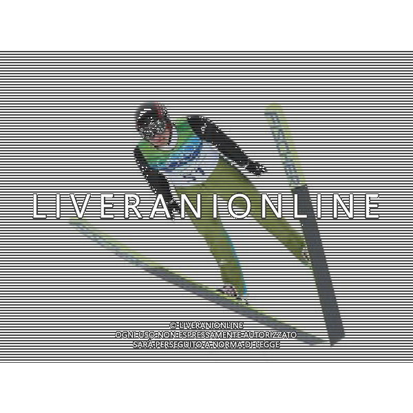 21mi GIOCHI OLIMPICI DI VANCOUVER ( CANADA) specialita\' ski jumping ( salto con gli sci) nella foto: SIMON AMMANN ( Svizzera) - medaglia oro; © JERZY KLESZCZ / NEWSPIX.PL - Ag. Aldo Liverani sas ITALY ONLY 