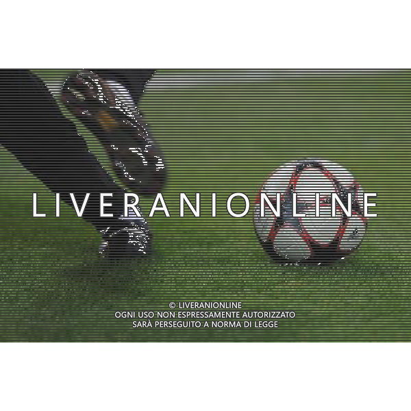 Champions League 2009/2010 Ottavi di Finale Milano - 16.02.2010 Milan-Manchester United Nella Foto:PALLONE-CALCIO-CHAMPIONS LEAGUE /Ph.Vitez-Ag. Aldo Liverani