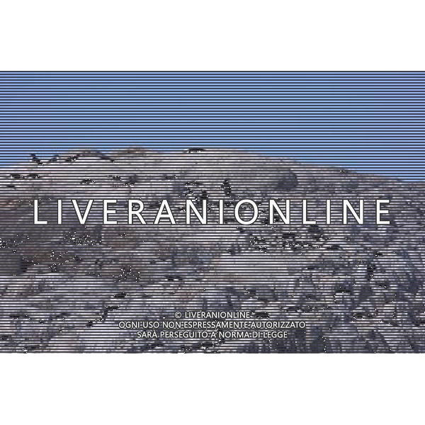 (100216) -- ZHONGSHAN STATION(ANTARCTIC), Feb. 16, 2010 () -- Photo taken on Dec. 13, 2009 shows Adelie penguins incubate on an Antarctic island near China\'s Zhongshan Station. (/Cui Jing) (ypf) /Agenzia Aldo Liverani Sas - ITALY ONLY - Pinguino antartico di Adelia