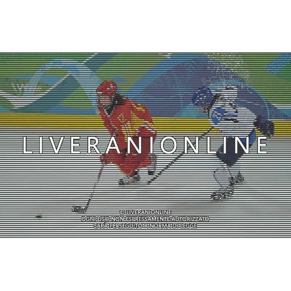 (100216) -- VANCOUVER, Feb. 16, 2010 () -- China\'s Jin Fengling (L) breaks through with Finland\'s Michelle Karvinen during the women\'s preliminary round group B match of ice hockey at the 2010 Winter Olympic Games in Vancouver, Canada, on Feb. 16, 2010. China lost 1-2. (/Wu Wei) (hy) /Agenzia Aldo Liverani Sas - ITALY ONLY - 21mi GIOCHI OLIMPICI INVERNALI OLIMPIADI DI VANCOUVER 2010 (CANADA)