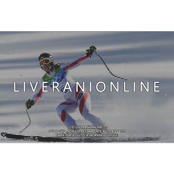 (100217) -- VANCOUVER, Feb. 17, 2010 () -- Austria\'s Elisabeth Goergl acts during the women\'s downhill of Alpine Skiing at the 2010 Winter Olympic Games in Whistler, Canada, Feb. 17, 2010. Elisabeth Goergl won a bronze medal with a time of 1:45.65. (/Shen Hong) /Agenzia Aldo Liverani Sas - ITALY ONLY CANADA: 21mi GIOCHI OLIMPICI INVERNALI OLIMPIADI DI VANCOUVER 2010