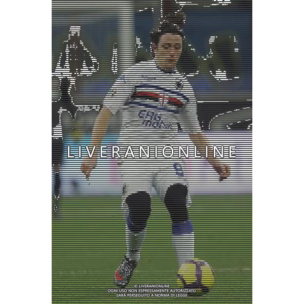 Milano 20-02-2010 Serie A TIM 2009/2010 inter-sampdoria 0:0 nella foto nicola pozzi ph marco luzzani/ag aldo liverani s.a.s.