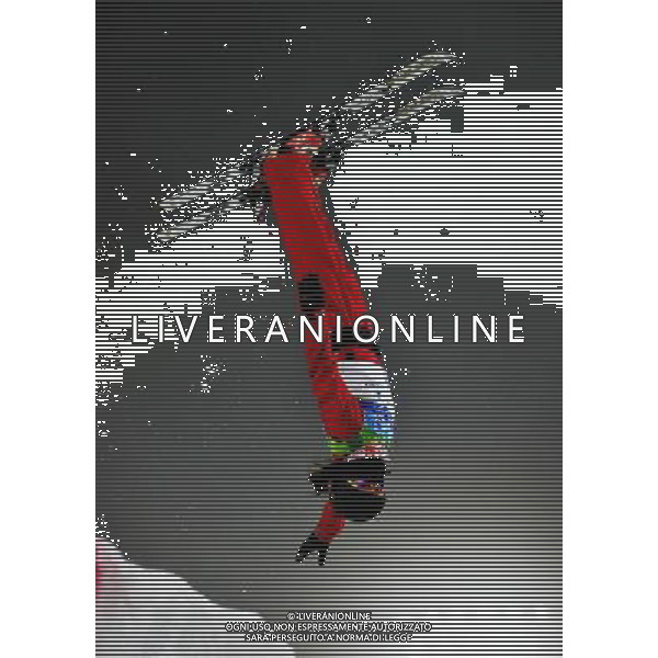 (100224) -- VANCOUVER, Feb. 24, 2010 () -- China\'s Li Nina acts during the women\'s aerials final of Freestyle Skiing at the 2010 Winter Olympic Games in Cypress Mountain, Canada, Feb. 24, 2010. Li Nina won a silver medal of the event with 207.23 points. (/Luo Gengqian) /Agenzia Aldo Liverani Sas - ITALY ONLY - CANADA: 21mi GIOCHI OLIMPICI INVERNALI OLIMPIADI DI VANCOUVER 2010