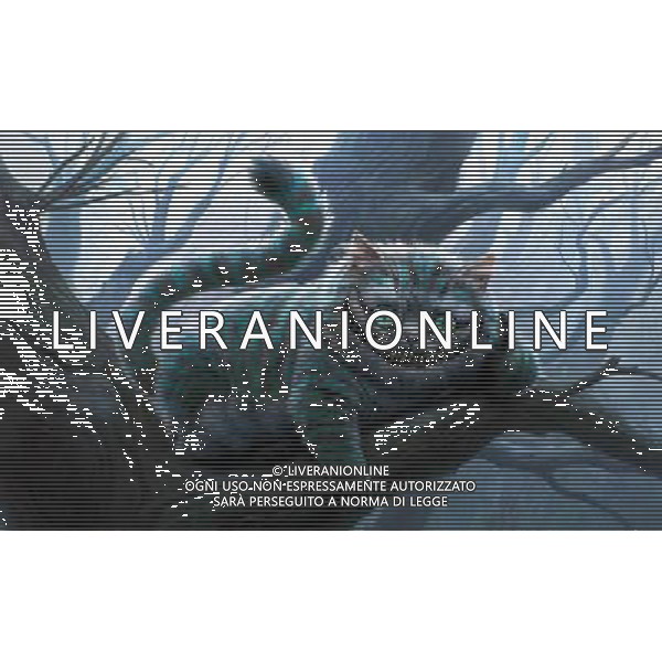 FILM\'Alice in wonderland \'2010 NELLA FOTO Stregatto AG ALDO LIVERANI