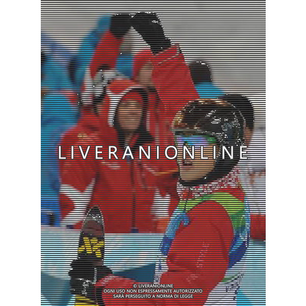 (100225) -- VANCOUVER, Feb. 25, 2010 () -- China\'s Liu Zhongqi reacts afer his final jump during the men\'s aerials final of Freestyle Skiing at the 2010 Winter Olympic Games in Cypress Mountain, Canada, Feb. 25, 2010. Liu Zhongqi won a bronze medal of the event with 242.53 points. (/Shen Hong) /Agenzia Aldo Liverani Sas - ITALY ONLY - CANADA: 21mi GIOCHI OLIMPICI INVERNALI OLIMPIADI DI VANCOUVER 2010