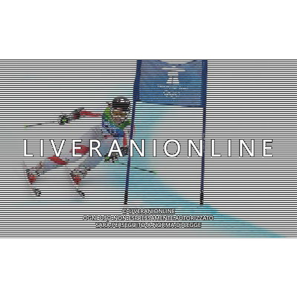 (100225) -- WHISTLER, Feb. 25, 2010 () -- Austria\'s Elisabeth Goergl acts during the women\'s giant slalom of Alpine Skiing at the 2010 Winter Olympic Games in Whistler, Canada, Feb. 25, 2010. Elisabeth Goergl won a bronze medal of the event with a total time of 2 minutes and 27.25 seconds. (/Chen Kai) /Agenzia Aldo Liverani Sas - ITALY ONLY - CANADA: 21mi GIOCHI OLIMPICI INVERNALI OLIMPIADI DI VANCOUVER 2010