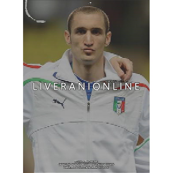 Amichevole Montecarlo - 03.03.2010 Italia-Camerun Nella Foto:CHIELLINI GIORGIO /Ph.Vitez-Ag. Aldo Liverani