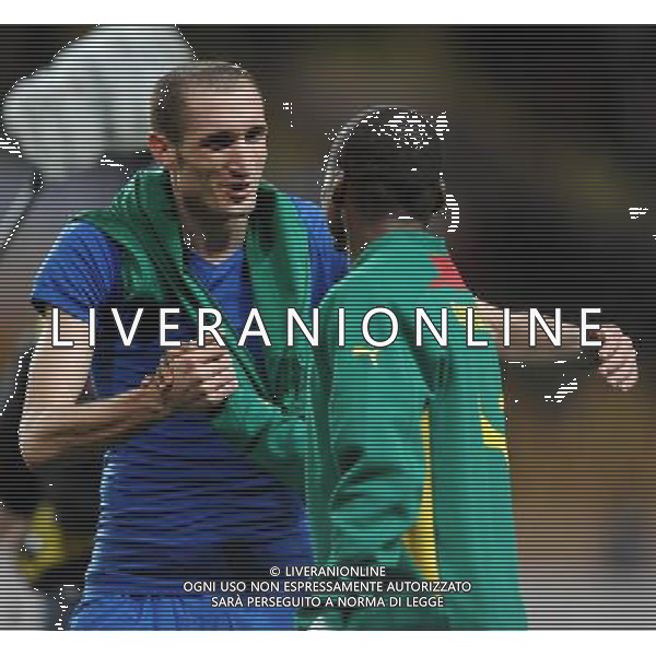 Amichevole Montecarlo - 03.03.2010 Italia-Camerun Nella Foto:CHIELLINI GIORGIO /Ph.Vitez-Ag. Aldo Liverani