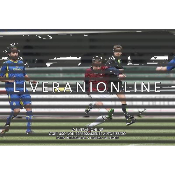 VERONA-REGGIANA LEGA PRO 07/03/2010 NELLA FOTO GOL VIAPIANA FOTO GARBUIO-AG ALDO LIVERANI 