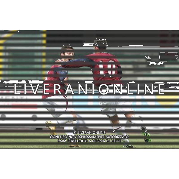 VERONA-REGGIANA LEGA PRO 07/03/2010 NELLA FOTO ESULTANZA VIAPIANA FOTO GARBUIO-AG ALDO LIVERANI 