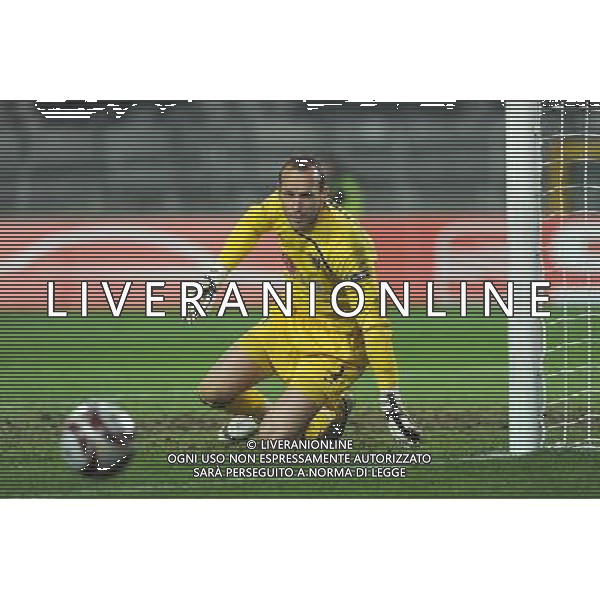 11-03-2009 Torino Sport-Calcio Juventus Fulham Europa League 2009/2010 Nella foto: Mark Schwarzer ©falzone/ALDO LIVERANI 