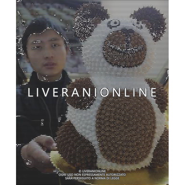 (100317) -- BEIJING, March 17, 2010 -- A giant panda-shaped cake is displayed at the 6th National Bakery Exhibition at the National Agriculture Exhibition Center in Beijing, capital of China, March 17, 2010. The three-day exhibition opened on Wednesday. Luo Wei) (wqq) /Agenzia Aldo Liverani Sas - ITALY ONLY - PRODOTTI DI PASTICCERIA - DOLCIUMI