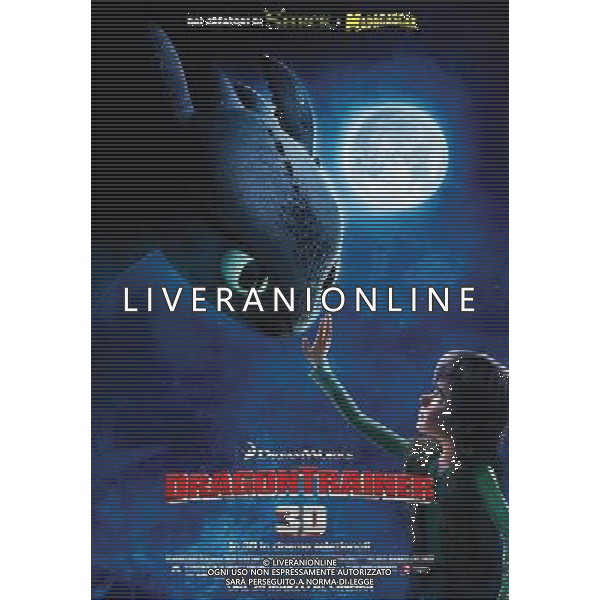 FILM\'Dragon trainer\' 2010 NELLA FOTO Locandina AG ALDO LIVERANI