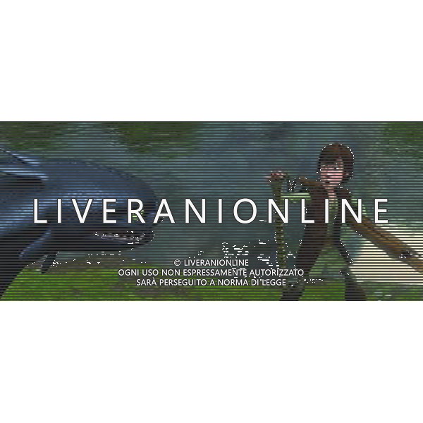 FILM\'Dragon trainer\' 2010 NELLA FOTO Hiccup AG ALDO LIVERANI