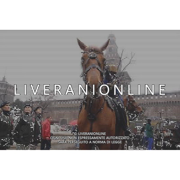 VEDUTE DELLA CITTA\' DI MILANO nella foto: esercito a cavallo in Piazza Castello © ANTONIO SORANO - AG. ALDO LIVERANI SAS