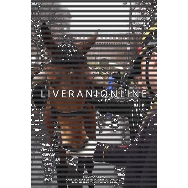 VEDUTE DELLA CITTA\' DI MILANO nella foto: esercito a cavallo © ANTONIO SORANO - AG. ALDO LIVERANI SAS