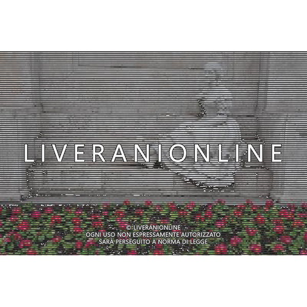 A statue of a spanish lady and red flowers in The Paseo del Prado is a beautiful tree-lined street in Madrid Spain. The Prado district of Madrid features many beautiful fountains, museums, hotels and plazas.USA OUT! ©Photoshot/Agenzia Aldo Liverani Sas - ITALY ONLY - VEDUTE DELLA CITTA\' DI MADRID - SPAGNA