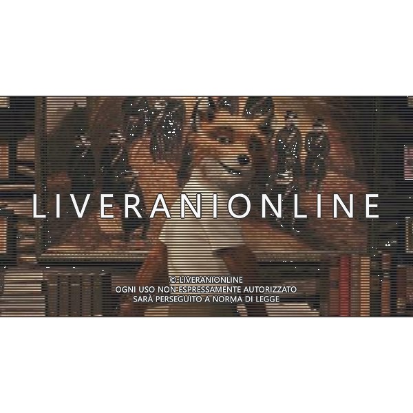 FILM\'Fantastic Mr. Fox\' 2010 NELLA FOTO SCENA DEL FILM AG ALDO LIVERANI