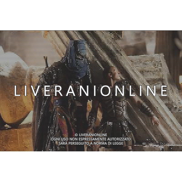 FILM\'SCONTRO TRA I TITANI\' 2010 NELLA FOTO Sam Worthington AG ALDO LIVERANI